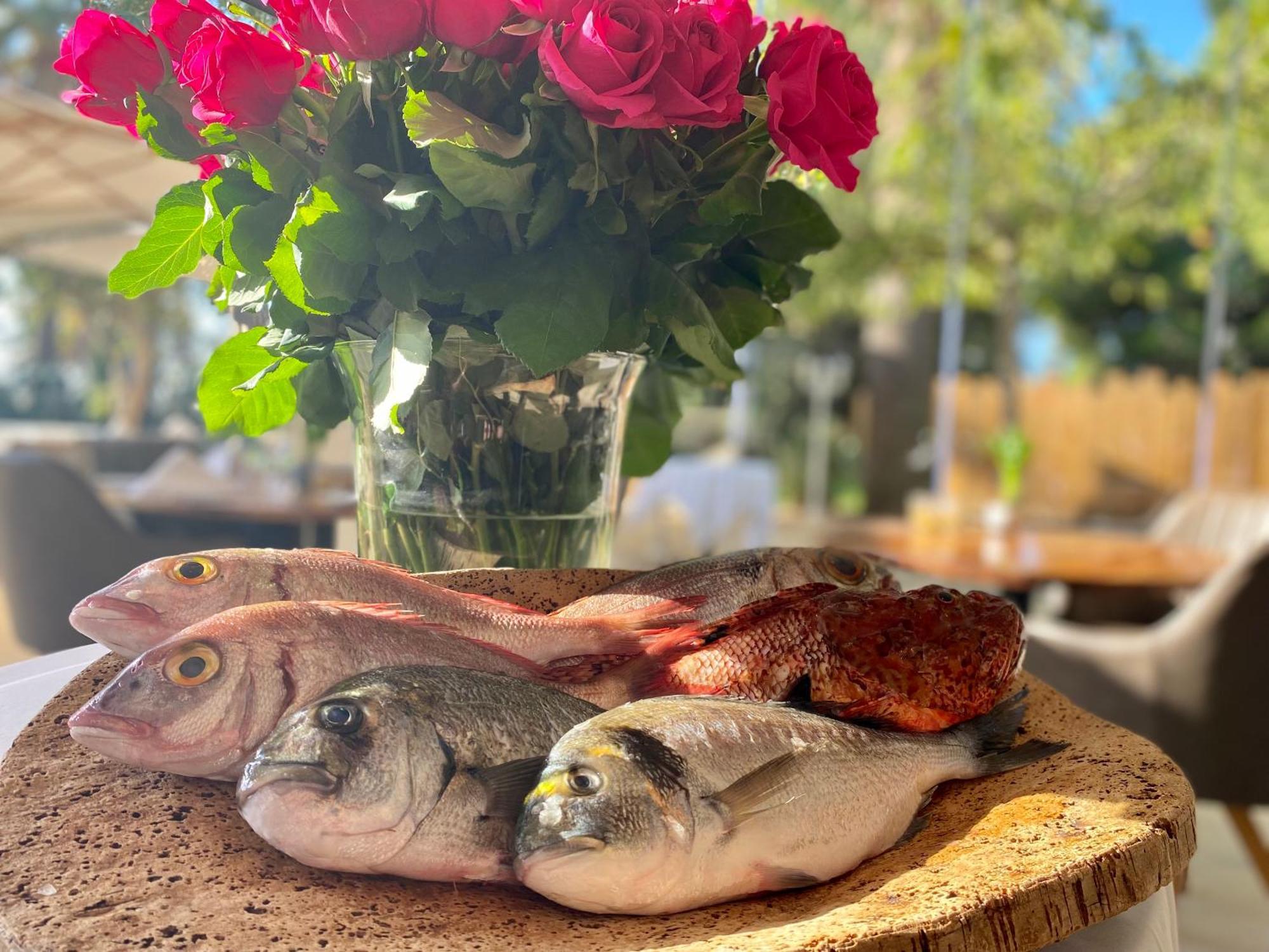 הייר Hotel De La Mer מראה חיצוני תמונה