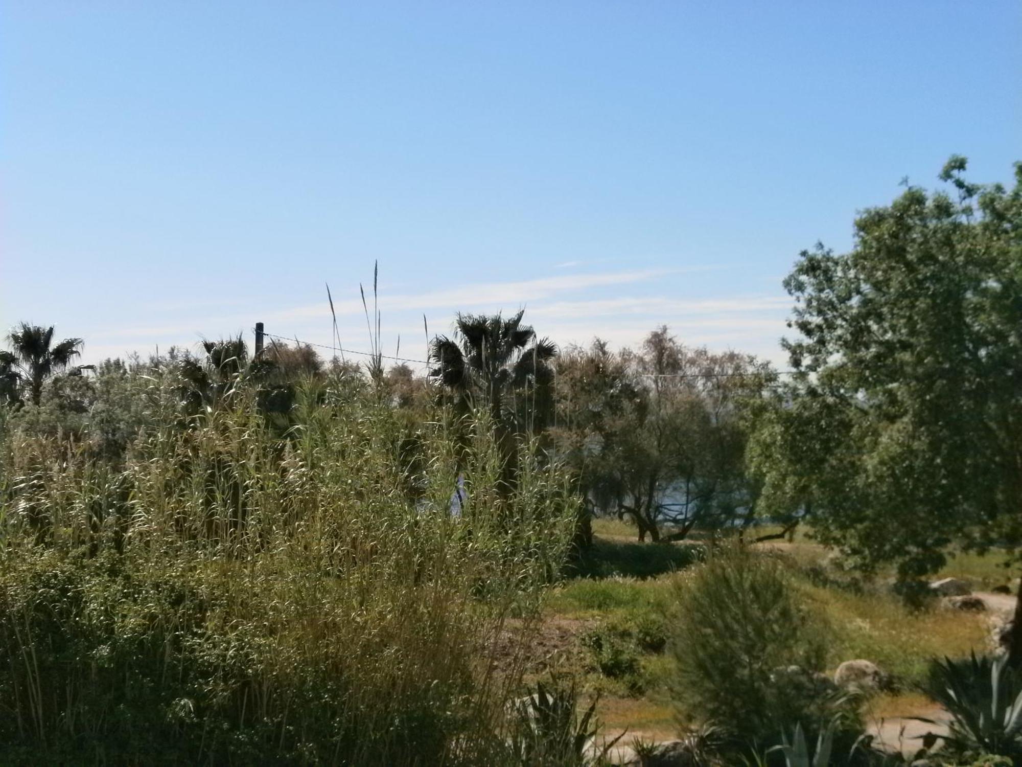הייר Hotel De La Mer חדר תמונה